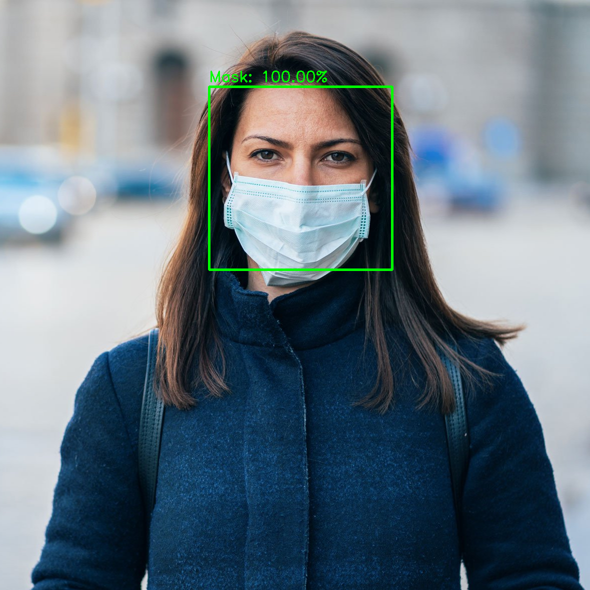 Face Mask Detection